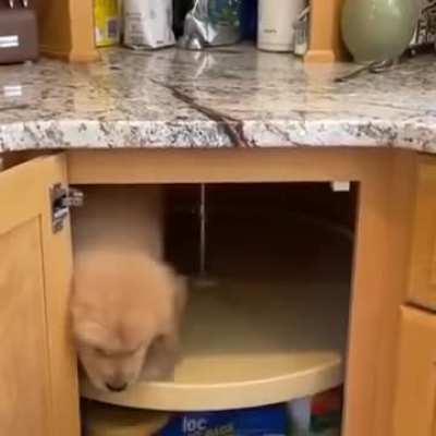 Mistakes have been made