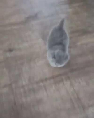 Awww he's so cut- OH MY GOD THERE ARE TWOOOO