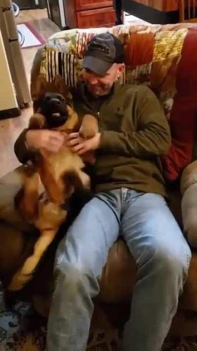 Top rated belly rubs