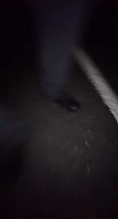 Men will see this and think...