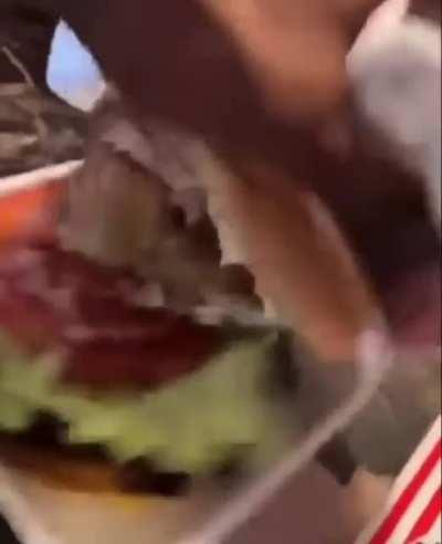 Wild Jackson! !!! !1!!