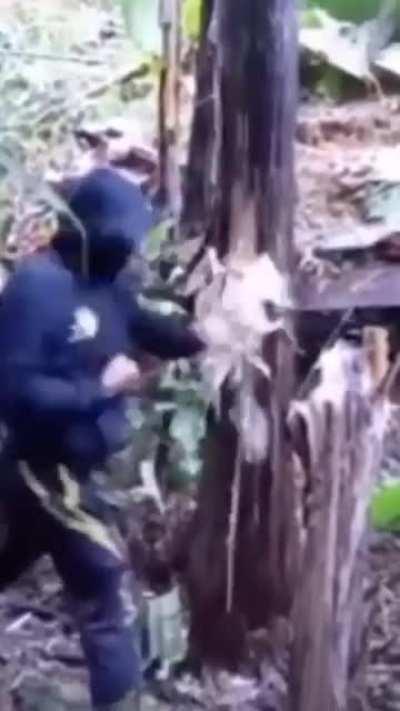 Chain fist massacre man, mower of trees 