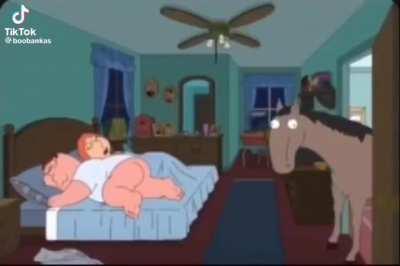 Pita the horse is here