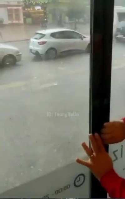 opening the door for the little fellow 