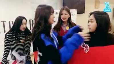 Yoohyeon vs Gahyeon