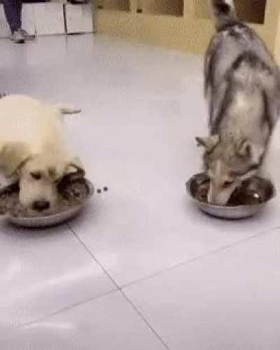 When you are hungry.