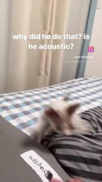 Acoustic