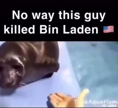 I thought this is funny