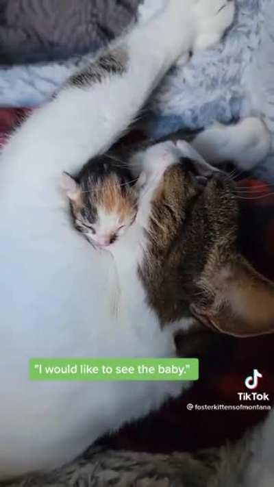 Illegal baby, right to jail, right away. Believe it or not, jail.