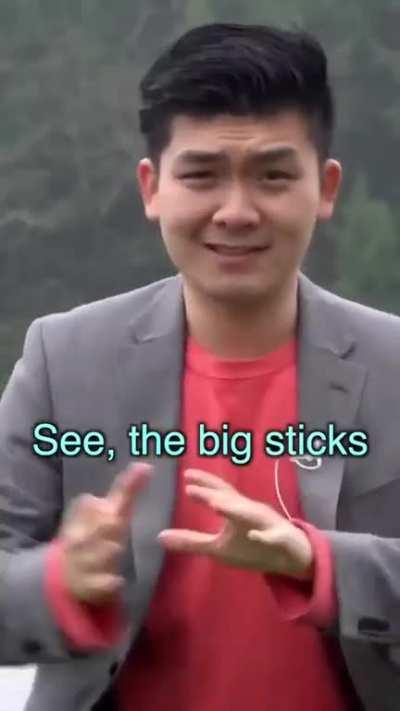 Avg.asian parents 💀