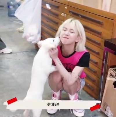 210913 Chaeyoung with the puppy