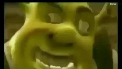 O Shureg ta estranho hj