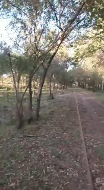 Mi jefa quiere que todos sepan. 