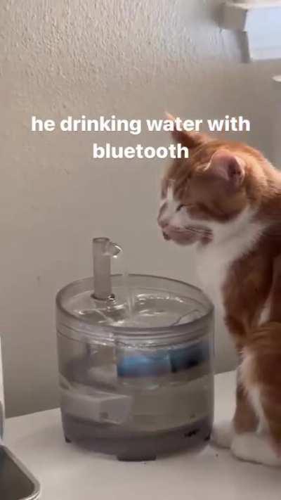 It’s not his time with the brain cell