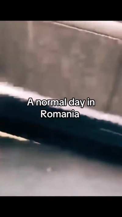 Bucarest's most wanted