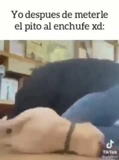 BeelcitosMemes - Video #5245