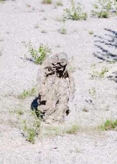 This guys camouflage.