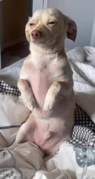 Frankie you can't come