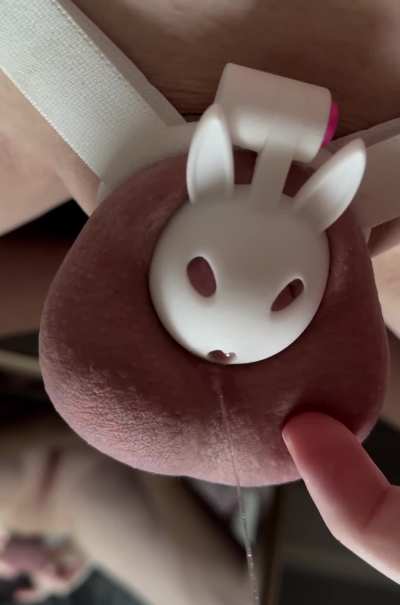 I think I’m addicted to being in a cage my clit leaks with excitement every time I click the lock 🐰