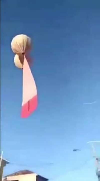 Fans de Maau be like