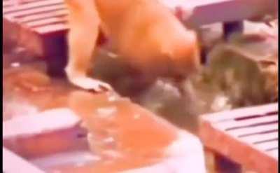 Первая помощь