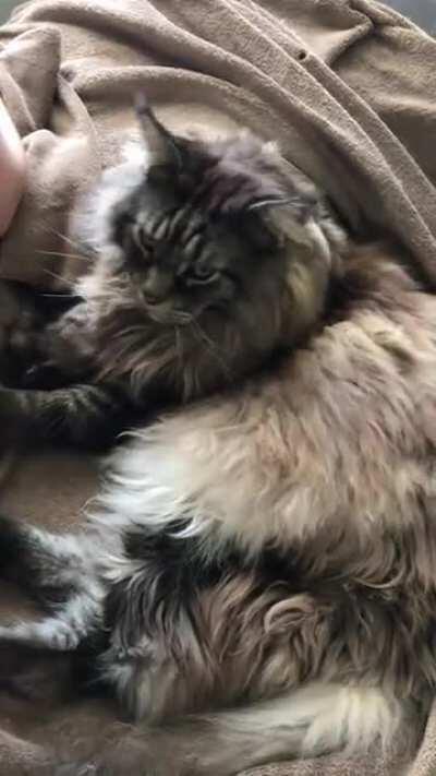 Moar. Aw yis. ??? I SAID MOAR.