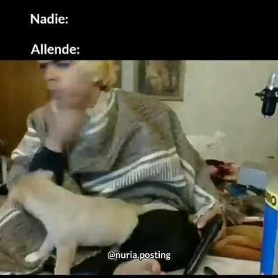 Allende 😎el pueblo te defiende 😂