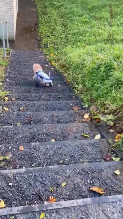 Running into the weekend like!