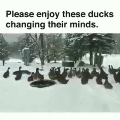 They straight up said.....Nope