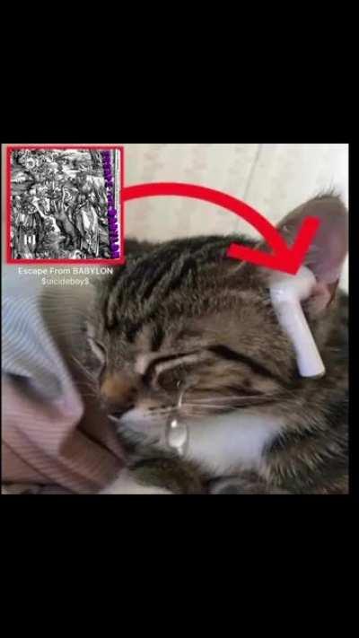 how escape from babylon got me