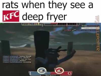 rats when they see a KFC deep fryer