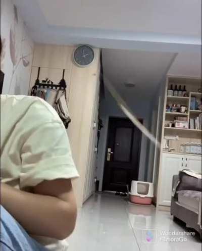 Just installed new toy for the cat