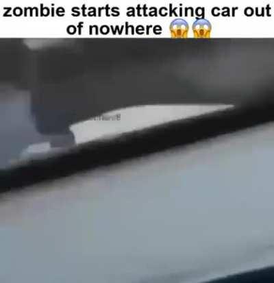 Zombor 🧟‍♂️