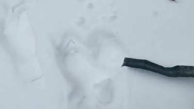 HMBKR while I reduce¹ the snow in the drive (sound on)