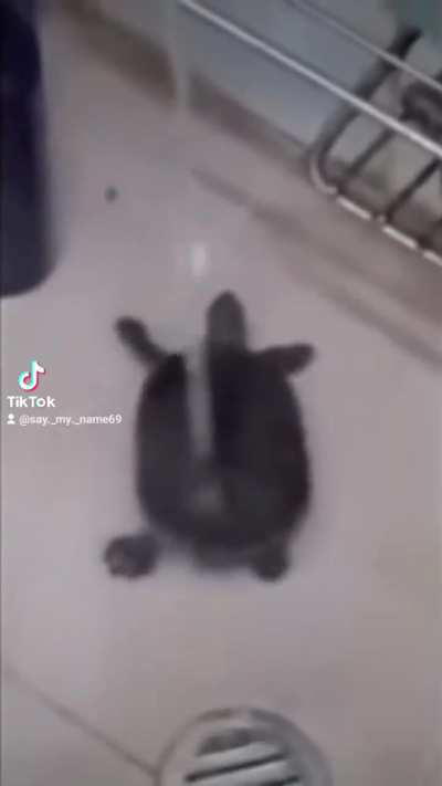 Fanmade quandale dingle video recorded by Turkish quandale dingle