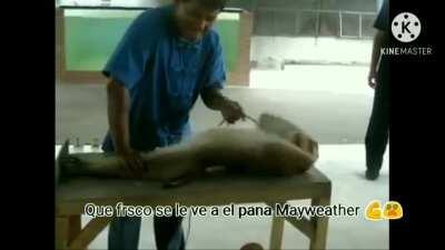 Que fresco el pana Mayweather 💪💪