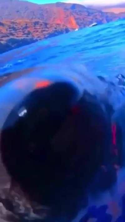 Approached by a Curious Fish