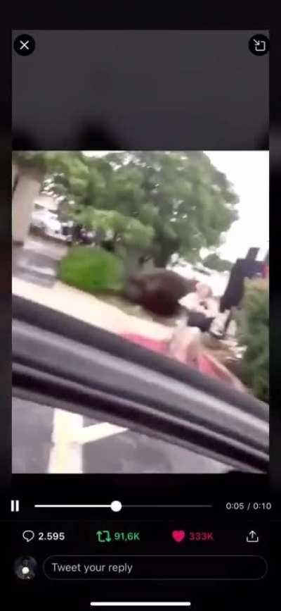 Scream racial slurs & get bug spray