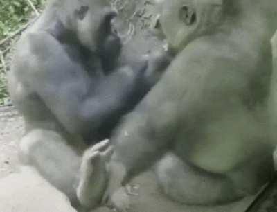 Giving the classic purple nurple