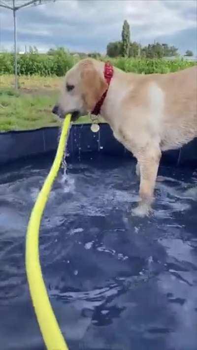 Hey gimme that..AHH-