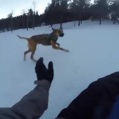 What a perfect day for some sledding!
