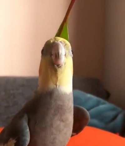 I'll delete if repost