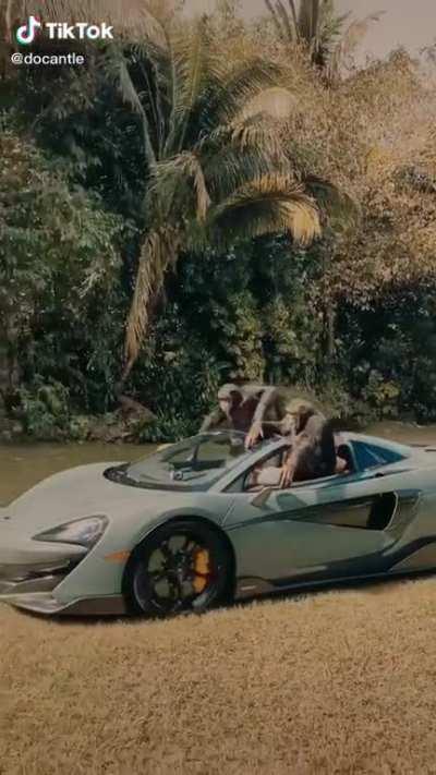 Cada upvote orslok pierde 1€