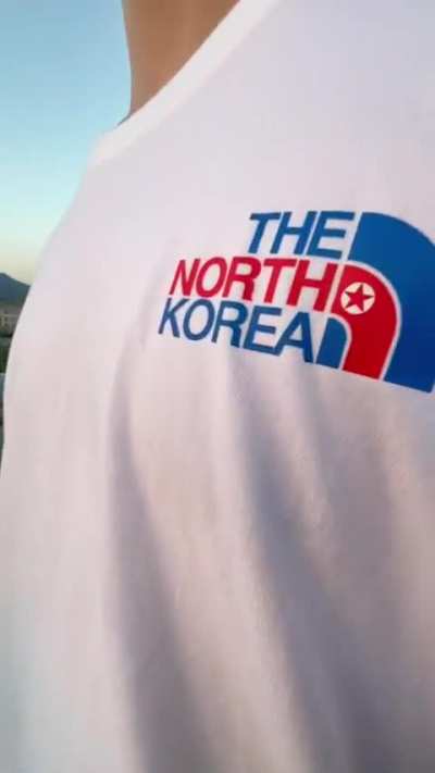 A North Face T-shirt that is popular on Chinese online platforms