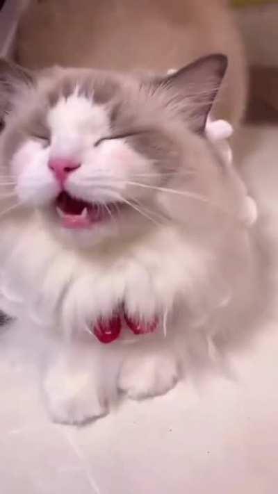 My favorite sound ever