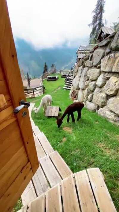From a cabin in The Dolomites, Italy
