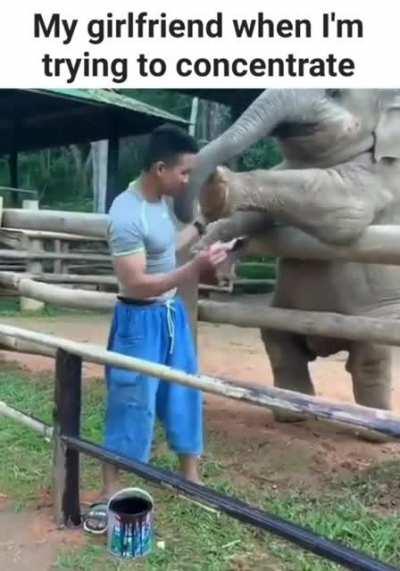 gimme your attention