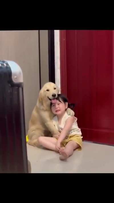 Dog holds little girl to comfort her after Mother scolds her.
