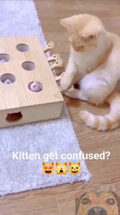 He looks confused 💗 😂