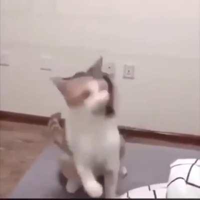 Long hair don’t care